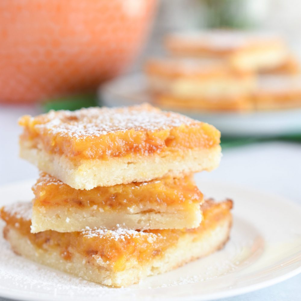 Apricot Bars (9)