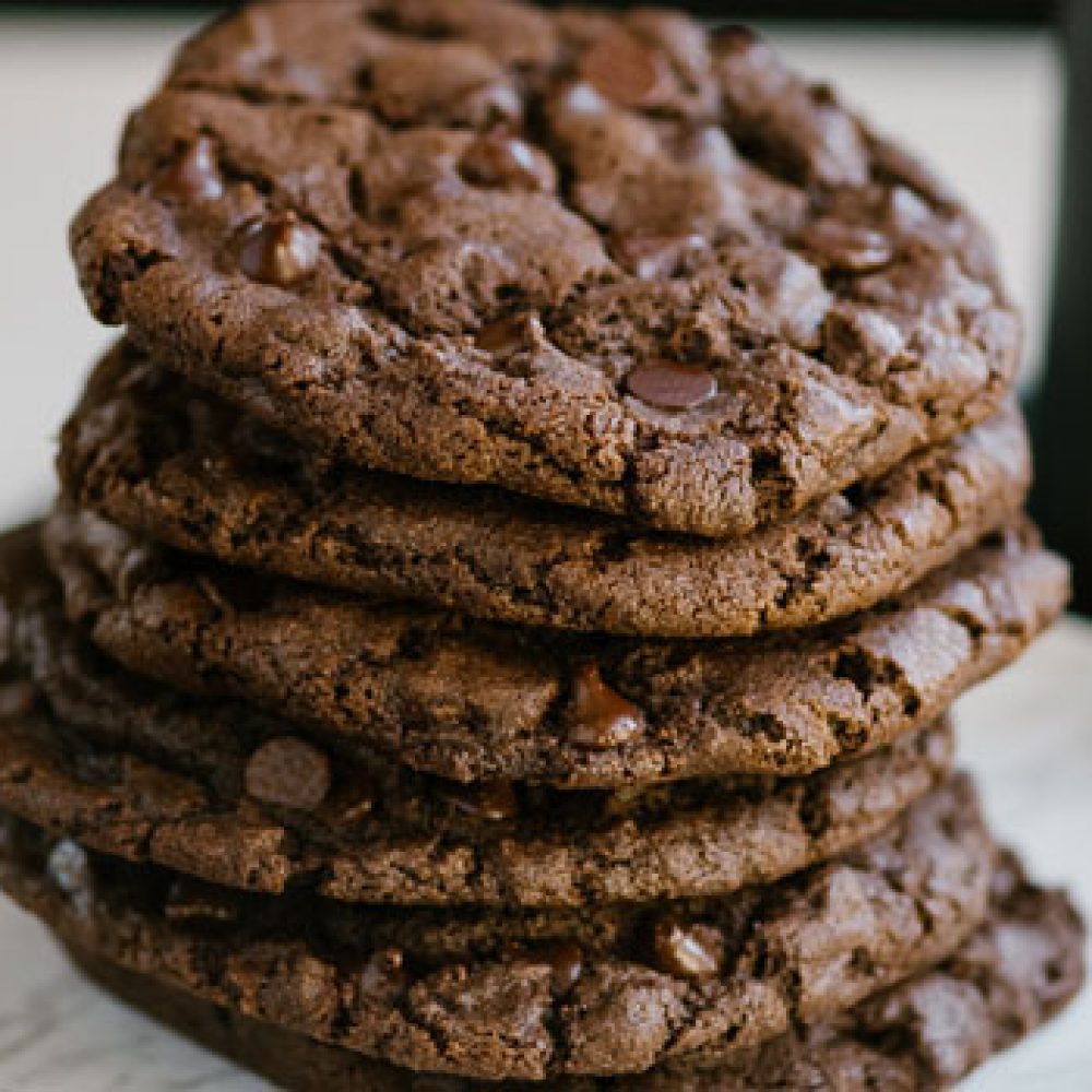 Double-Chocolate-Rex-Cookies-Web